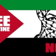 Free Palestine from Israel