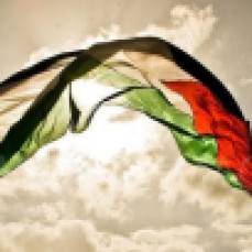 Palestinian flag will keep flying!